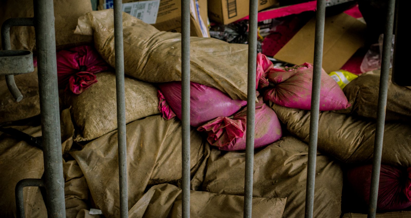 art-of-sandy-mo-sandy art-11.jpg